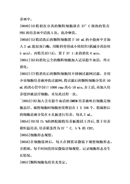 一种鹅卵巢卵泡原代颗粒细胞的分离培养方法