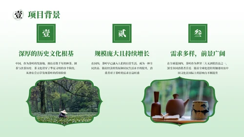 绿色茶产品介绍宣传PPT模板