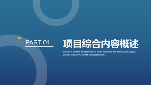 商业项目计划书模板通用PPT