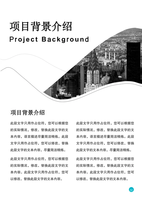 市场数据分析报告