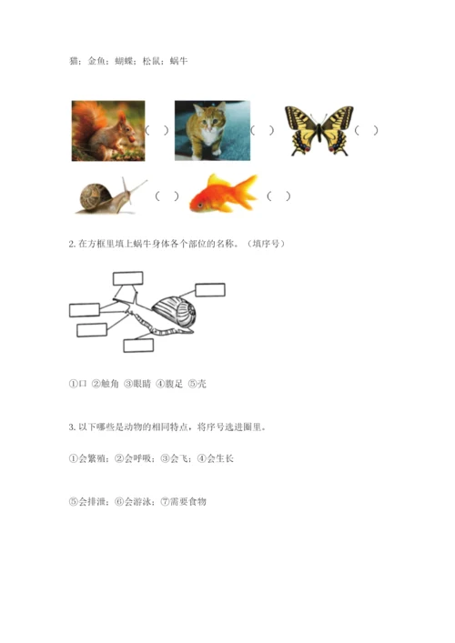 教科版一年级下册科学期末测试卷加答案.docx