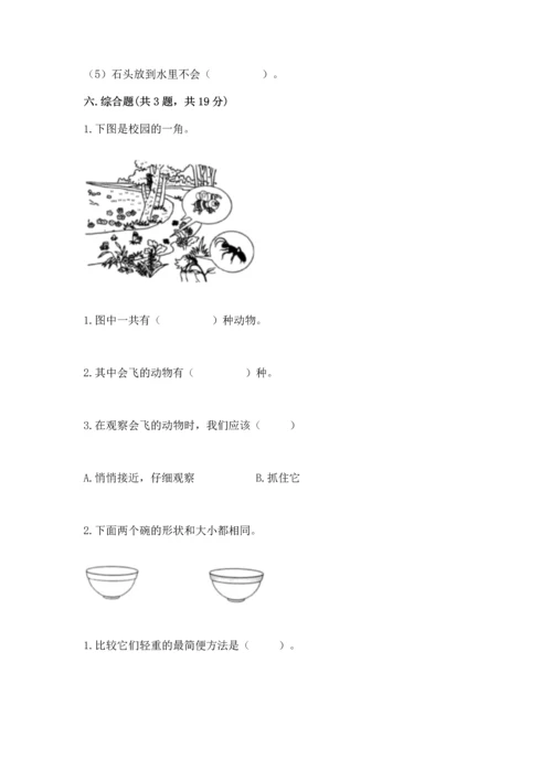 教科版一年级下册科学期末测试卷及答案【基础+提升】.docx