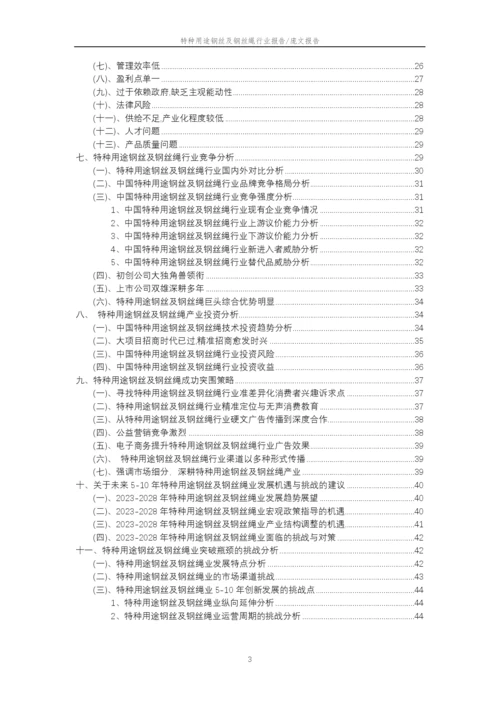 2023年特种用途钢丝及钢丝绳行业市场需求分析报告及未来五至十年行业预测报告.docx