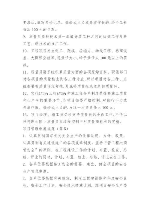 项目管理制度规范.docx