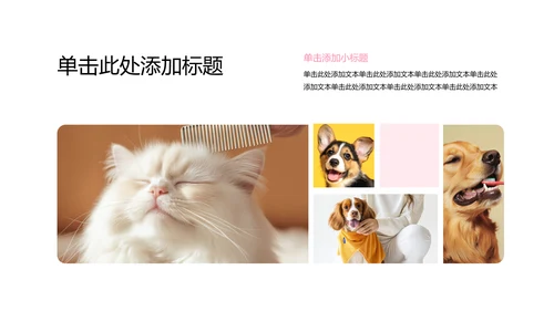 彩色简约几何风宠物行业职业介绍PPT模板