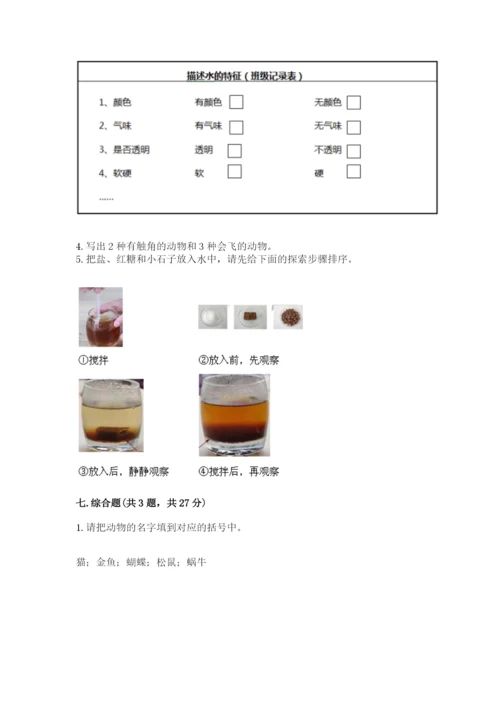 教科版一年级下册科学期末测试卷附完整答案【全优】.docx