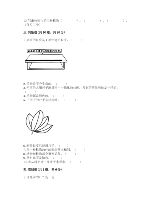 教科版一年级上册科学期末测试卷【达标题】.docx