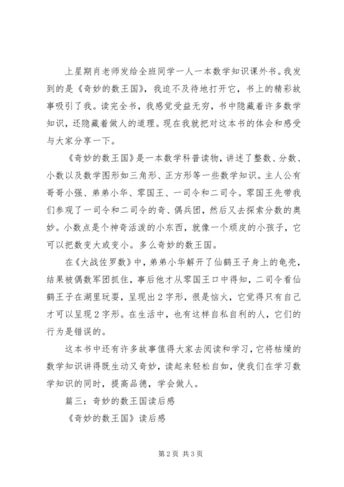 篇一：《奇妙的数学王国》读后感.docx