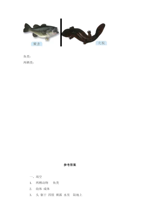 【新教材】粤教粤科版小学科学三年级上册：全册教案教学设计.docx
