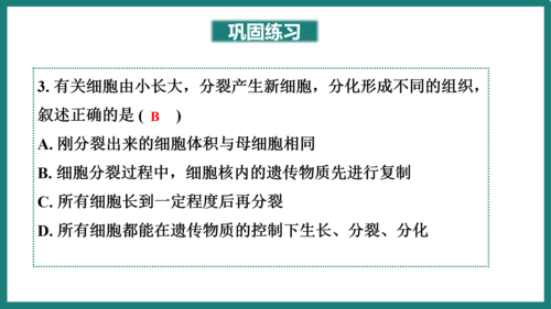 第一单元第三章从细胞到生物体（复习课件）-七年级生物上册同步教学精制课件（人教版2024）(共44张