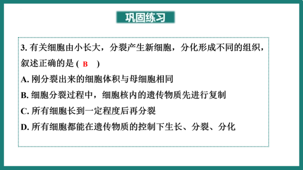 第一单元第三章从细胞到生物体（复习课件）-七年级生物上册同步教学精制课件（人教版2024）(共44张