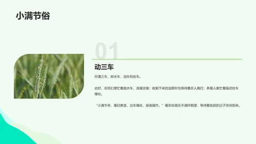 绿色插画小满节气科普培训课件PPT模板