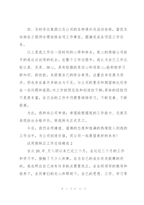 试用期转正工作总结.docx