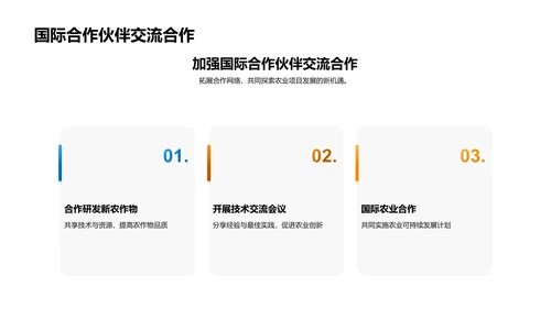 农业项目进展与展望