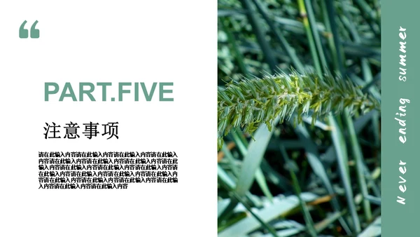 绿色简约风旅游出行安排通用PPT模板