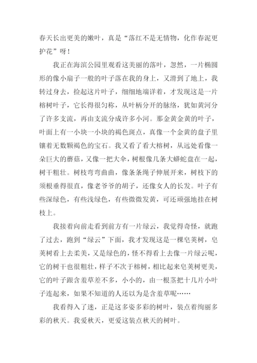描写秋天树叶的作文.docx