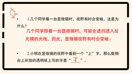 2.1.1练习使用显微镜课件2023--2024学年人教版生物七年级上册(共32张PPT)
