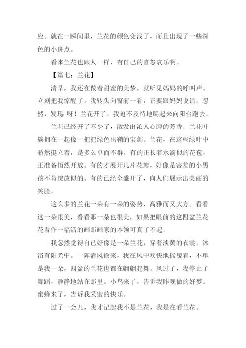 兰花作文400字0.docx
