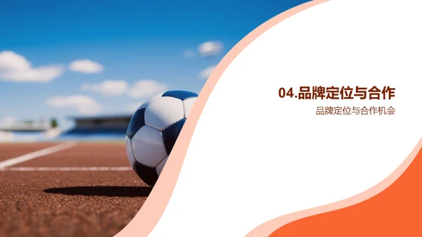 体育营销：全球视角