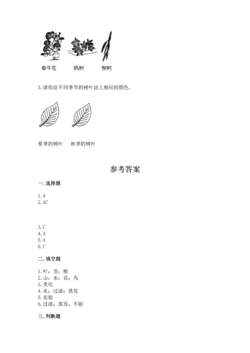 教科版科学一年级上册第一单元《植物》测试卷带答案（完整版）.docx