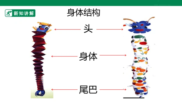 第六课《节节虫》课件