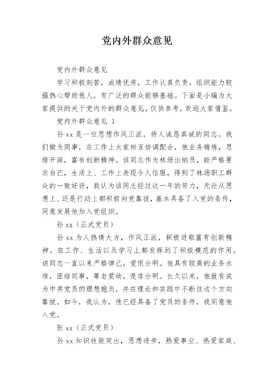 党内外群众意见.docx