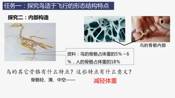 人教版生物七年级上册2.2.2《脊椎动物（三）鸟和哺乳动物》教学课件(共32张PPT)+视频素材