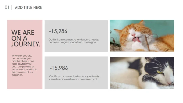 吸猫宠物猫咪日记通用PPT模板