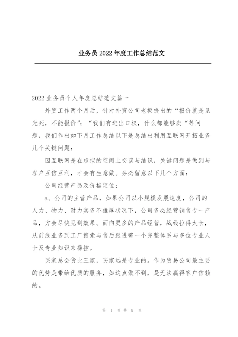 业务员2022年度工作总结范文.docx