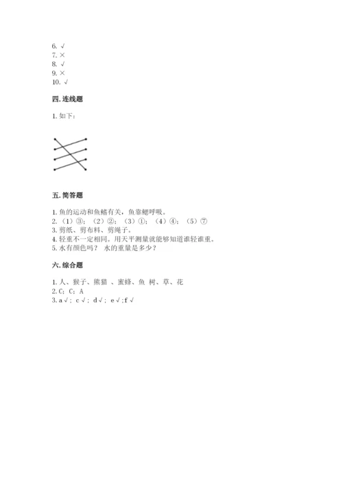 教科版一年级下册科学期末测试卷附参考答案（研优卷）.docx