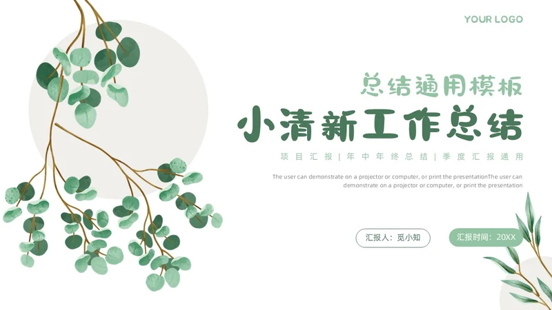 小清新简约工作总结汇报概述