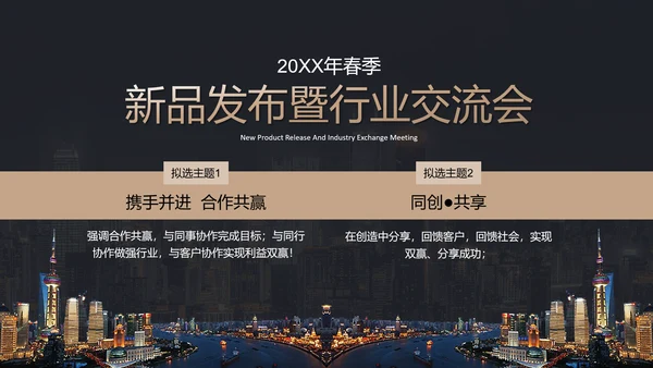 黑金高档金融商业活动策划执行方案PPT