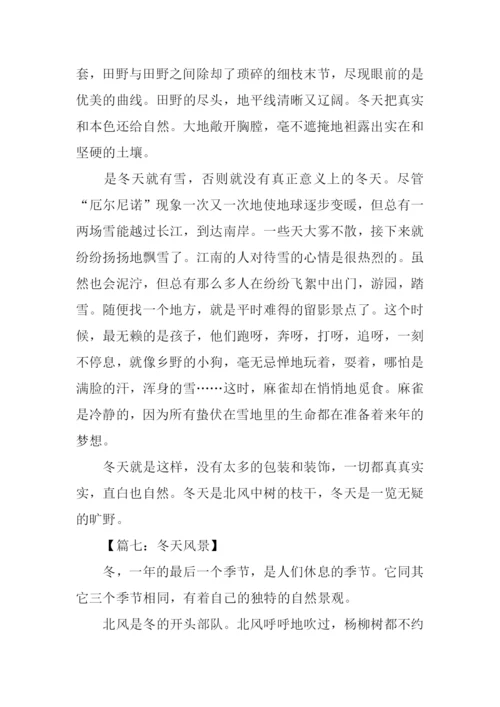描写冬天风景的作文.docx