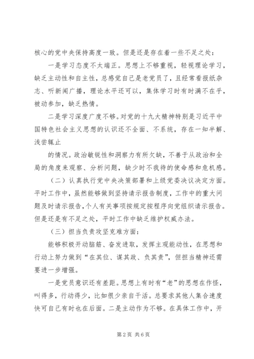 十九大学习发言提纲.docx