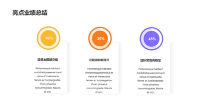 多色扁平业绩亮点