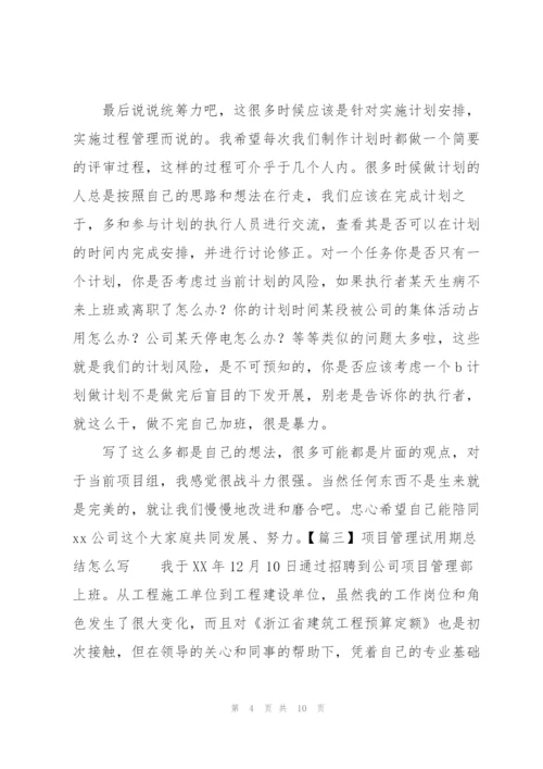 项目管理试用期总结怎么写.docx