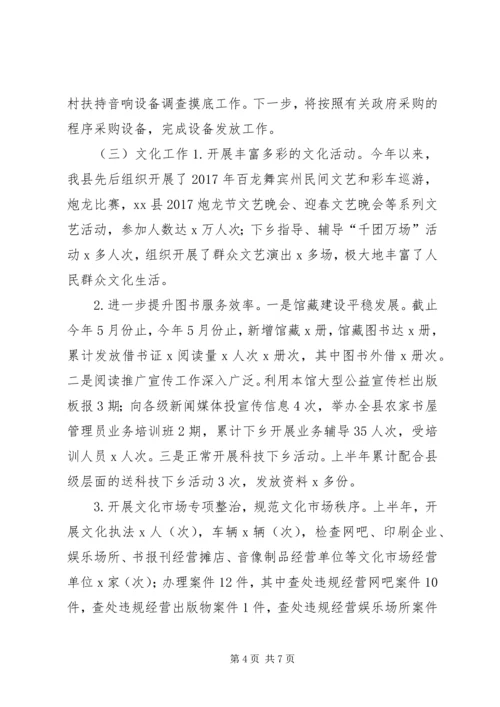 文化新闻出版广电和体育局XX年上半年工作总结及下半年工作计划.docx