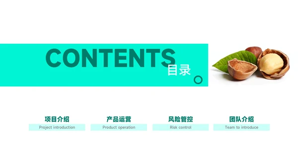 干果品牌策划案通用PPT模板