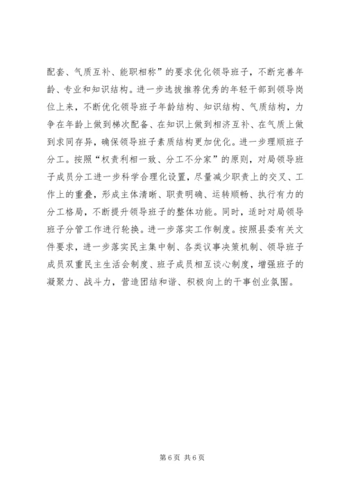 县文体广电局领导班子思想政治建设调研报告.docx