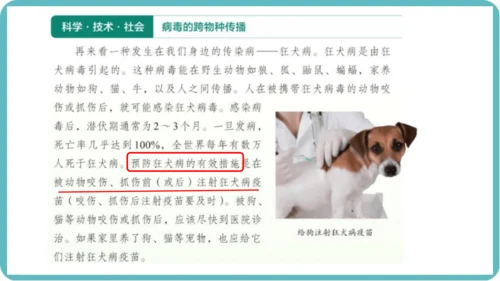 人教版生物七年级上册2.3.4《病毒》课件(共19张PPT)+视频素材