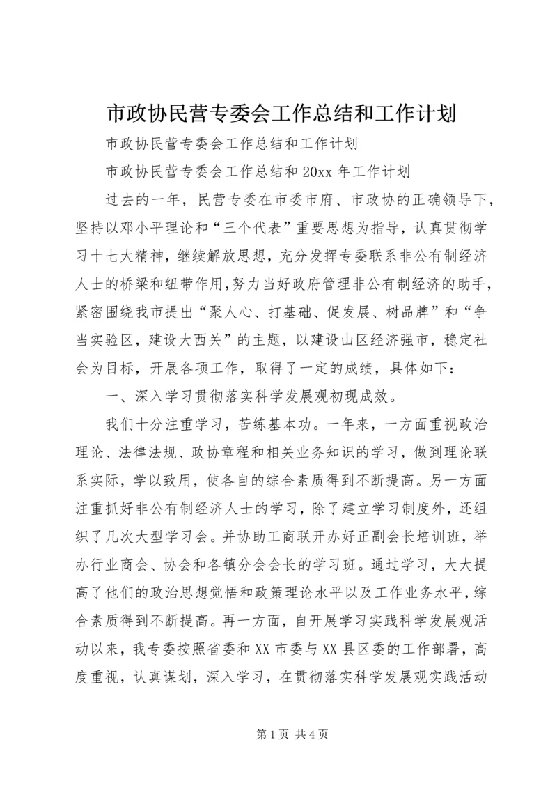 市政协民营专委会工作总结和工作计划.docx