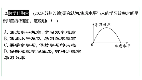 第三单元 走向未来的少年单元复习课件(共54张PPT)2023-2024学年度道德与法治九年级下册