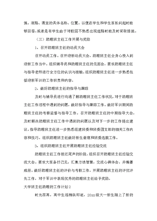 大学班主任助理的工作计划