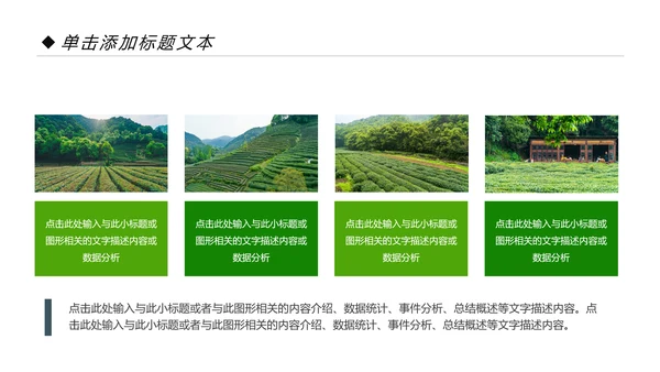 绿色清新茶园茶艺茶道文化动态PPT模板