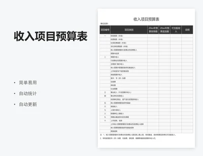 收入项目预算表