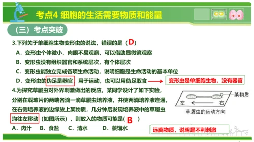 第三章从细胞到生物体（串讲课件）-七年级生物上学期期中考点大串讲（人教版2024）(共40张PPT)