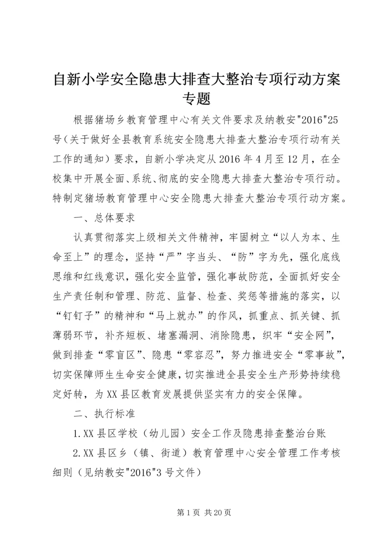 自新小学安全隐患大排查大整治专项行动方案专题.docx