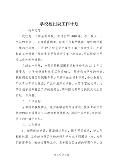 学校校团委工作计划 (2).docx