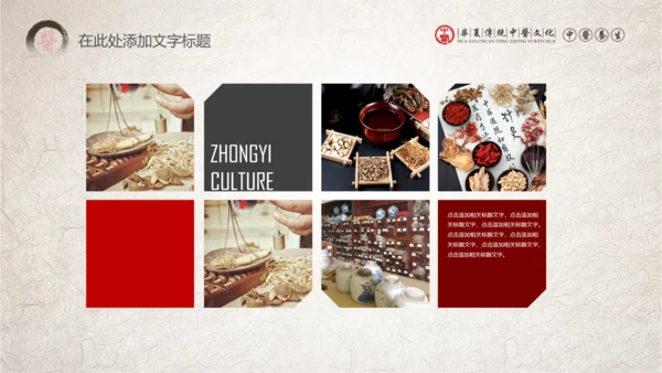 传统中医学中医院中医文化中草药PPT模板