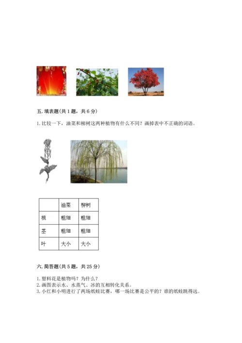 教科版一年级上册科学期末测试卷a4版可打印.docx